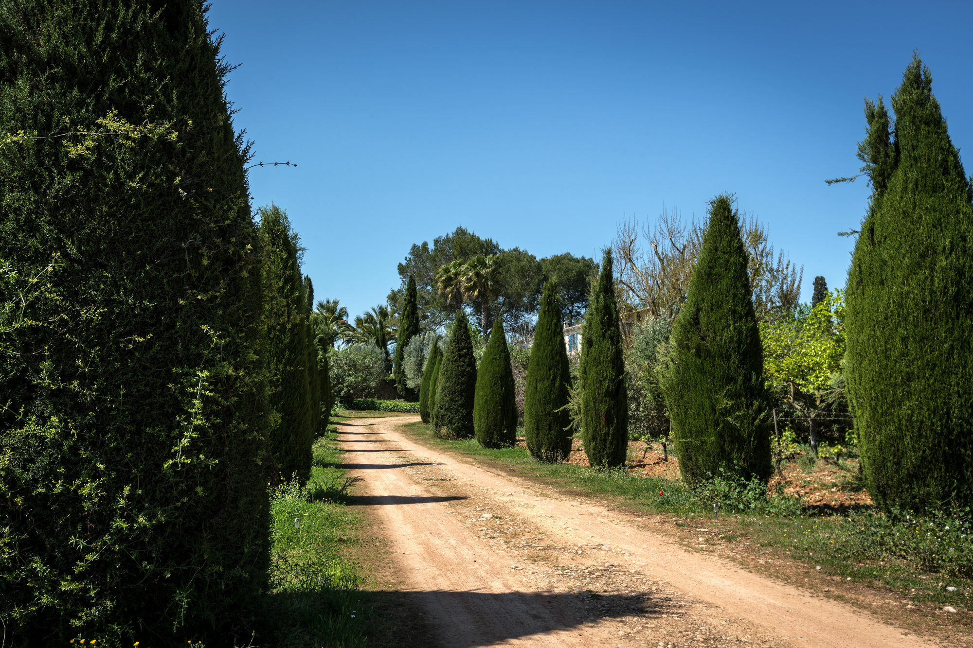 Finca Son Miranda - La Organic Sencelles Eksteriør bilde
