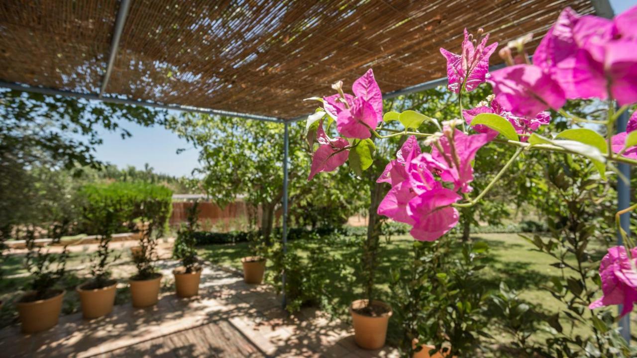 Finca Son Miranda - La Organic Sencelles Eksteriør bilde